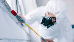 Best Termite Inspection and Treatment  in Lake Shastina, CA